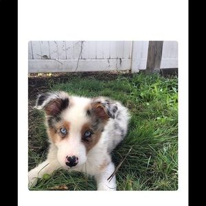 Meet your Posher, Jay